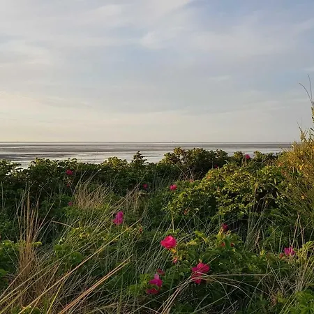 Apartment Residenz Stranddüne