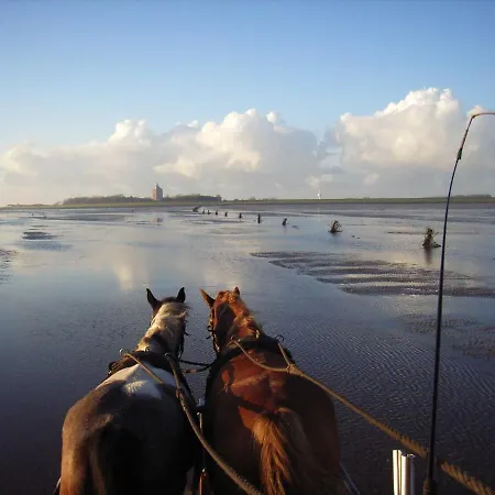 Residenz Stranddüne Apartment *