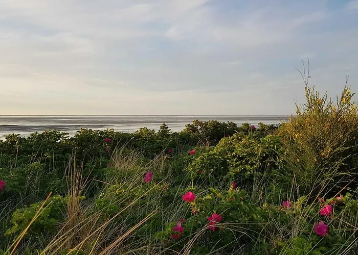 Lägenhet Residenz Strandduene