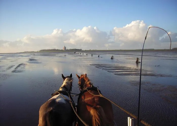 Residenz Strandduene 公寓 *