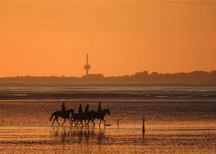 Residenz Strandduene 公寓 库克斯港